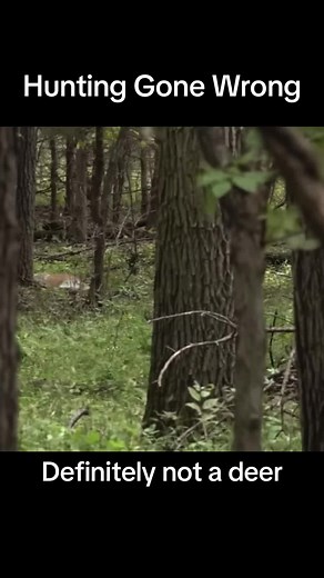 Hunting Gone Wrong: Encountering a Mountain Lion