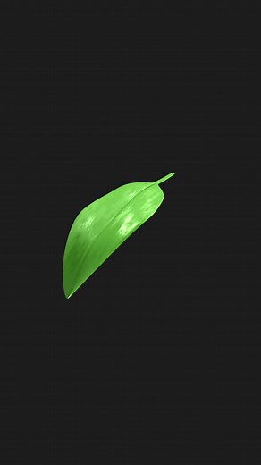 Modeling a Leaf in blender 3.4 #blender #blender3d #blendertutorial #m...