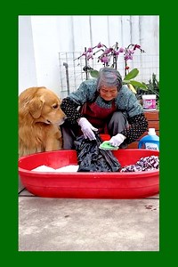 Best Puppy Ever in 2024 🥰🥰 | K A R E