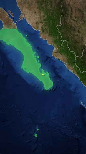 Baja California vs Baja California Sur: Key Differences Explained
