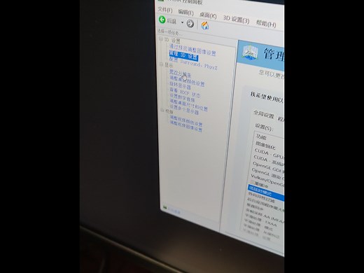英伟达控面板不能改分辨率解决办法