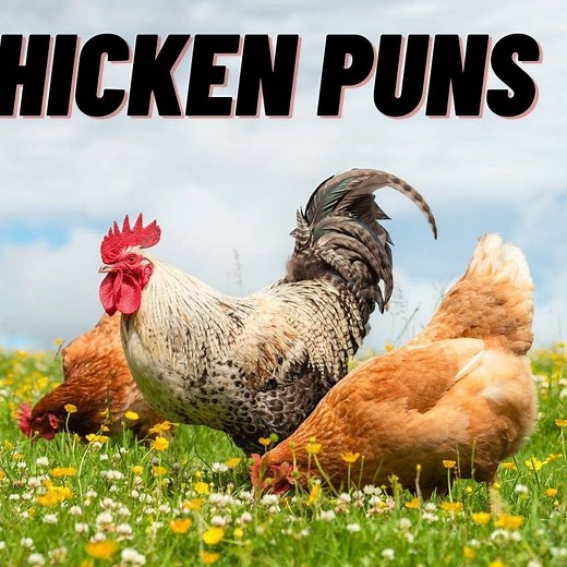 50 Chicken Puns That'll Inspire Your Inner Comedi-Hen
