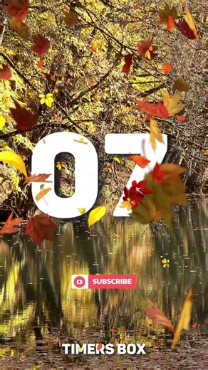 Drifting away on golden waters 🍁 cool autumn lake timer 🕯️ #AutumnTimer #12SecTimer