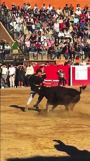 ¡POR UN MILÍMETRO! El recorte más real con una Vaca #toros #taurino