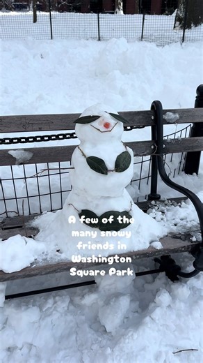 I have never seen so many snowmen in one place in my life | snowman