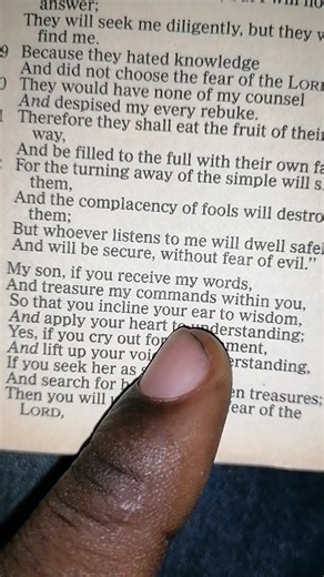 Proverbs 2:1. Bible Reading And Meditation