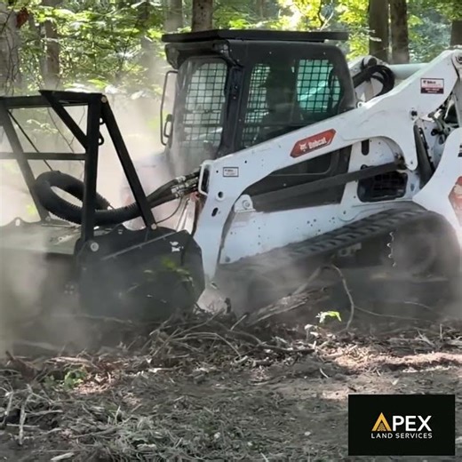 Forestry Mulcher Destroys Undergrowth — One Pass 🌲
