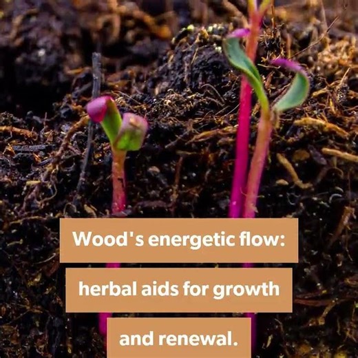 Elemental Healing with Herbs