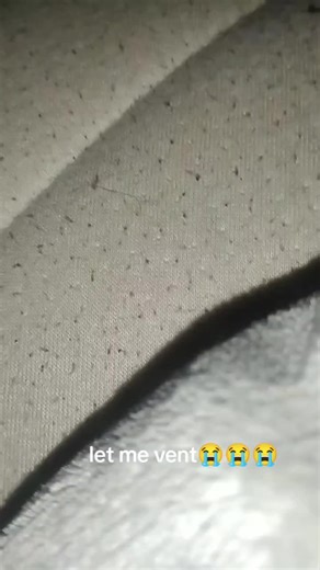 Acey (@acey659)’s videos with original sound - Acey