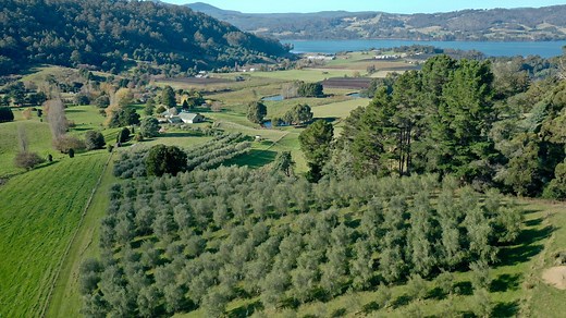 Pure Tasmania Estate - The Huon Valley Southern Tasmania