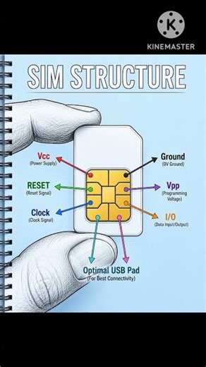 SIM card structure explain #simcard #structure #foryou