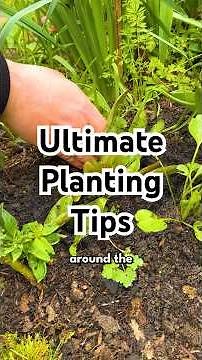 Use These Ultimate Planting Tips 🌱