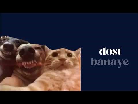 Kattar Kattar Gaali Dete The 😈