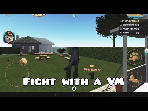 Black panther fight on a virtual machine | Cat Simulator 2015