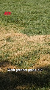 17 reactions | With Ace YardRx, you get the right yard care products for your lawn at the right time, delivered FREE to you! | Ace Hardware | Facebook