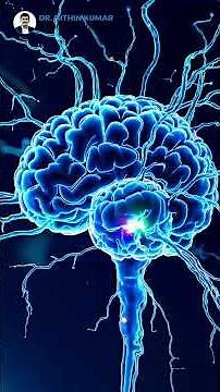 Why Does Epilepsy Happen? | Part 4 Explained in Simple Terms