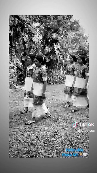 Cuentas recomendadas