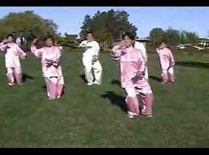 Tai Chi 40 Form Style