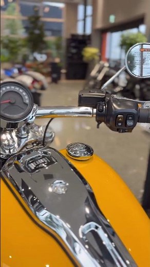 【2025年式FXBR/ブレイクアウト】新型モデル入荷‼️#harleydavidson #ハーレーダビッドソン #ハーレーダビッドソンシティ西東京 #ブレイクアウト #fxbr #新車