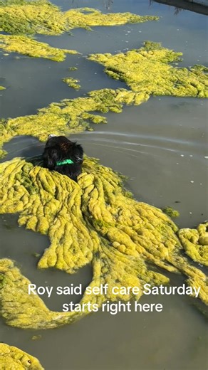 Tank life #ArapahoeRanch