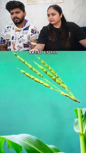 232K views · 1.5K reactions | Eva's world on Reels | Facebook