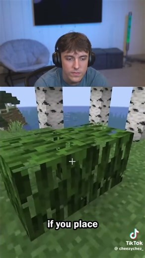 Hidden Room Using LEAVES in Minecraft