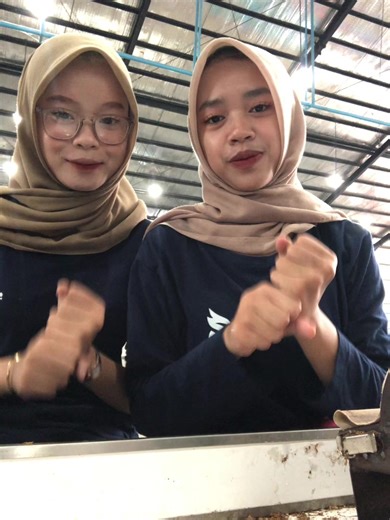 7%#hsnyell #masukberanda #beranikitabeda