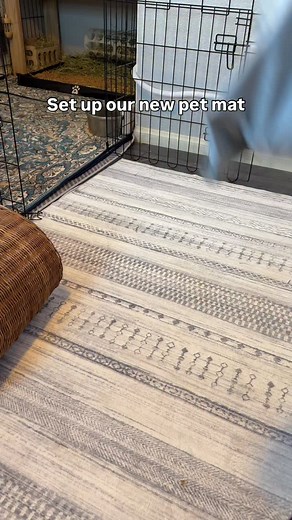 10K views · 894 reactions | This pet mat is so nice! Easy to vacuum and throw in the washing machine, but protects the floors underneath. It was so hard to choose just one print because they are so many adorable ones, but this one that we got is called Fairy Island Bunny. Head over to @taco_nacho_combo page where you can find their Etsy page and order yours! #petmat #bunnyenclosure #bunnysetup #bunnyrug | Buttercup the Tripod Bunny | Facebook