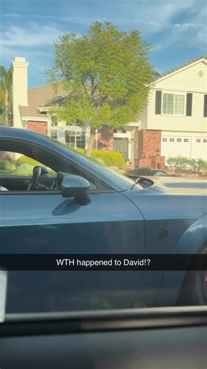 Where do you think he's taking him? #pokemon #pokemoncards #pokemontcg #pokemoncommunity #fyp