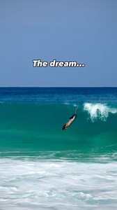 Bodysurfing Dreams. 🌊💭 - #bodysurf #bodysurfing #dolphin #aquaman #surf #surfers #ocean #style | ジョンアレント