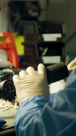 3K views · 71 reactions | T6Xi Series made right here in the  | Steiner Optics USA | Facebook