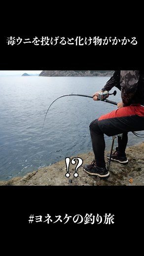 ヨネスケ🎣釣りYouTuber on Instagram