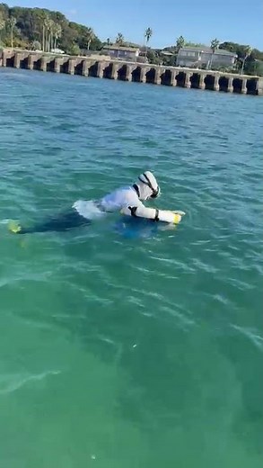 Diving deep into history with the legendary Ama pearl divers of Ise-Shima.