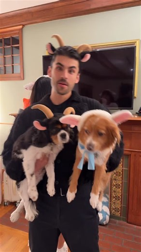 Felt silly might delete l8r 😋 missss lil bo peep lost her sheep, but we came right home with our lil tails behind us 🐑🐏🎀 | Melissa Willis