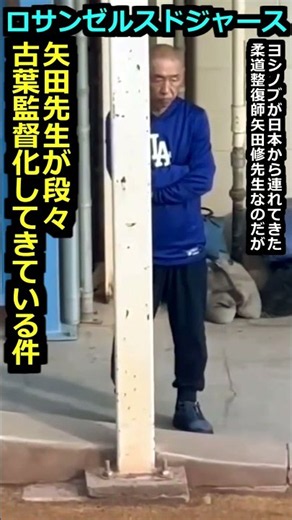 41万再生突破！【ロサンゼルスドジャース】山本由伸専属トレーナー矢田先生が段々古葉監督化してきている件＃大谷翔平 #野球 #プロ野球#広島東洋カープ