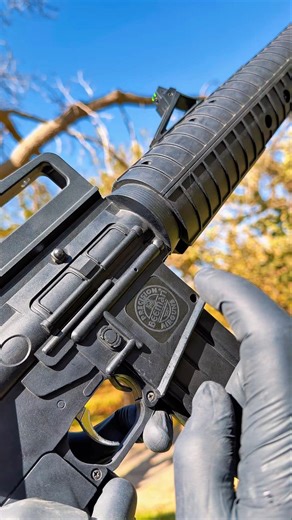 Beeman .22 Cal Jungle M16 Carbine Air Rifle#airrifle #airrifleshooting