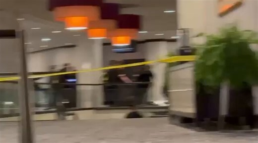 Meet Cole Tomas Allen from Torrance, California, the alleged shooter. I’m kind of tired of this theater, another lone shooter, somehow smart enough to get through the best security in the world, fire multiple times (as they told us) and hit no one, but still traumatize everyone, especially Erika Kirk. I have no tolerance for this staged bullshit anymore :) Off to the gym. Have a good night, everyone.