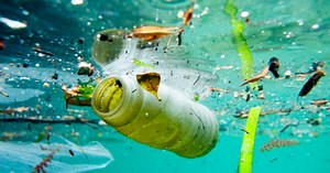 Microplastics in Seafood: Human Poop Reveals How Bad the Problem Has Become