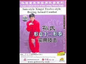 SUN style XING YI . 12 Animals Combat (Part 1)