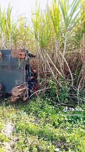 Kubota Tractor Cutting Tall Grasses in Rural Setting
