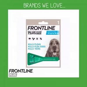 Give winter fleas the cold shoulder. Stay flea-free and save money with FRONTLINE® Plus Subscribe and Save – delivered to your door. | Pets UK