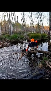 6.9K views · 92 reactions | Not This Time!  || Beaver Dam Removal! #beaverdamremoval #beaverdam #gatorcreek #damremoval #beavers #dam #drain #draining #water #unclogging #terrellspivey #fypシ゚ #foryoupageシ #foryou #viralreels #viralvideo #viralFBvideo #FBVIDEO #viralfbreels #reelsviralfb #fbreelsfypシ゚viral #fb #viralfb | Terrell Spivey | Facebook