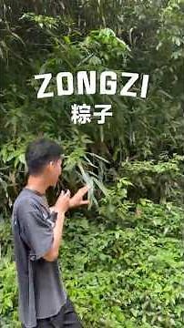 What's the story behind Dragon Boat Festival zongzi?