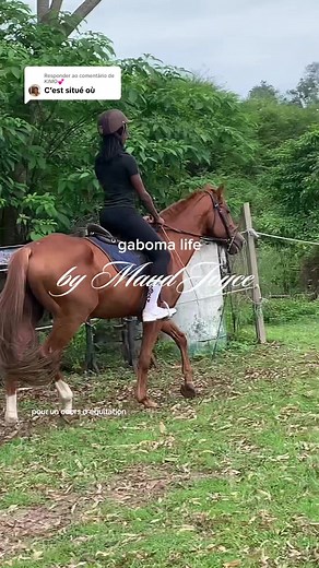 Cours d'équitation à Libreville : Une expérience unique