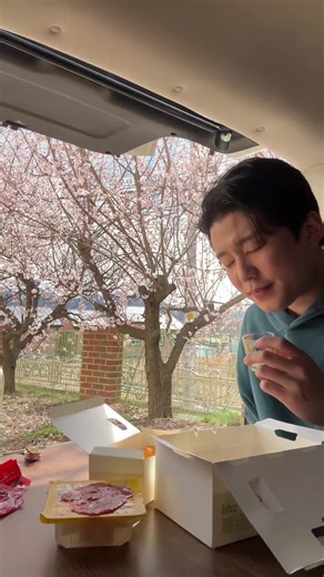 Apricot Trees and Wine: Spring Delights