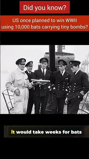 USA planned to win WWII using 10,000 bats carrying tiny bombs? #history #worldwar2 #ww2