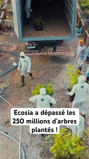 The Ecosia search engine has just surpassed 250 million trees planted! #planet #ecosia