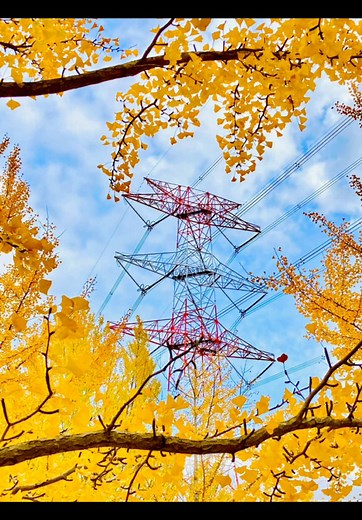 iPhone SE2で撮る風景写真のテクニック