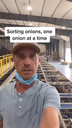 Onions sorting 2020 style. #onions #farming101 #owyheeproduce | Shay Myers | Facebook