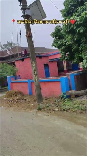 Prathmik Vidyalay🧿🎒 📍sahela Patti gaon❤️🥰#school #shorts